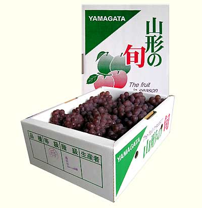 �Ҷ��˿͵��ξ�γ�֤ɤ��֥ǥ饦������8�����