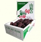 Ҷ˿͵ξγ֤ɤ֥ǥ饦8