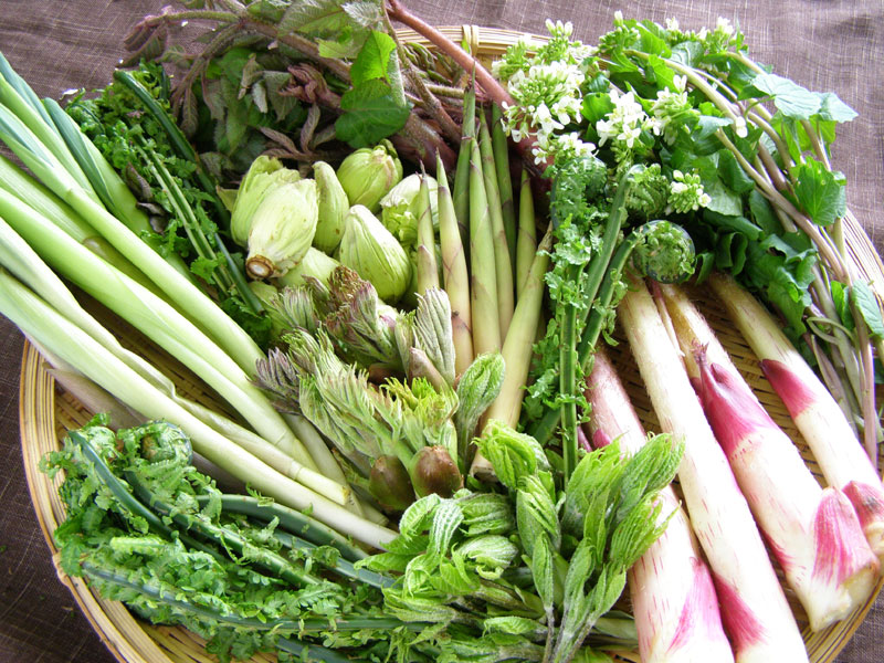 4��ܡ�5����ܡ����ڤεͤ��碌