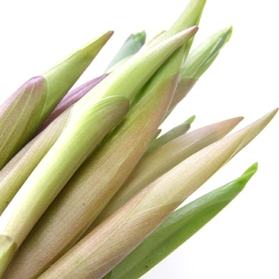 ��4��ܡۻ��ڡ֤��ޤɤ�����150g