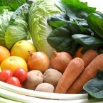 ����ڥ��åȡ� �ߥ˲�²�����ס���4���Ϥ���