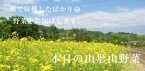 �����λ��������(���夦���
