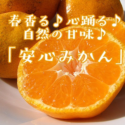 ǯǯϤˡ12/27в١۰¿ߤ5kgʰɲ̵㡹