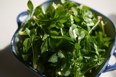 ��3��ܡ۽դ�ڤ���ܤεͤ��碌