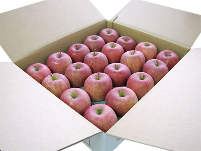 12ܡۥäޤäƴŤ־ʤդ󤴡