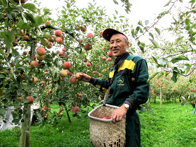 12ܡۥäޤäƴŤ־ʤդ󤴡