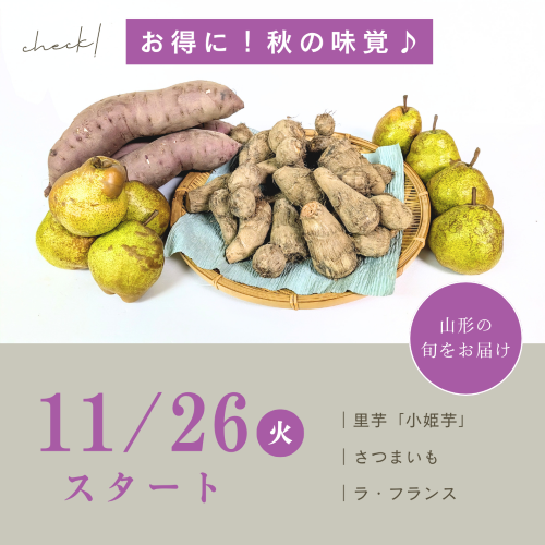 ڥ֥åե饤ǡۤޤ£ʪ ֽ