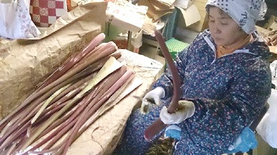 2024ǯ12ܡ۰򤬤顦ּ1P/50硡