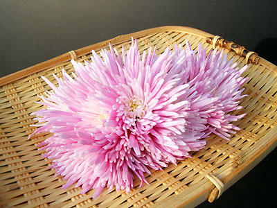 9ܤ11ۿѵơ֤äƤΤۤ1P 100g