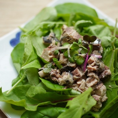 ڥȥȡۡժмѡס̵źäںڡޤǤ餫