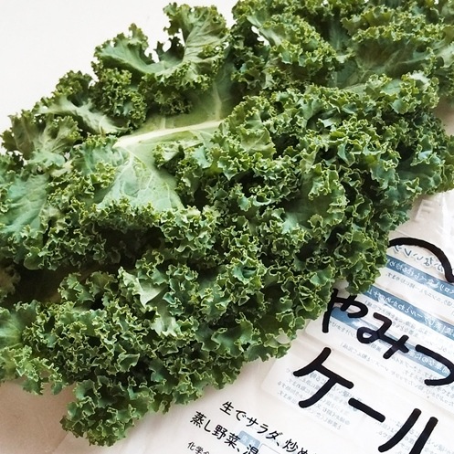 �������̵������Ĺ�����1��