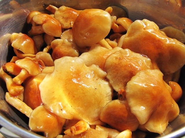 ��10��ܡ��ۿ��ι��ȴ�̣�����̡�ŷ���ʤᤳ�סʥ������ء�