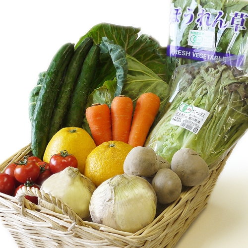 野菜セット夏の特別便 の通販｜「tuchinokoe」おすすめの無添加