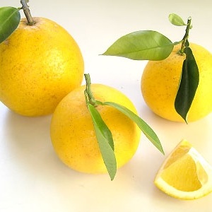 ��3��ܡ��ֲۡ����մ���1�̡�350g�ʾ��