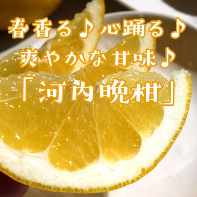 紅まどんな・宮川早生・河内晩柑の無添加ジュースセット★今ならプラス１本おまけ！！ 宮川早生(贈答用）【12月発送】 - 梅、青梅、みかん、晩柑