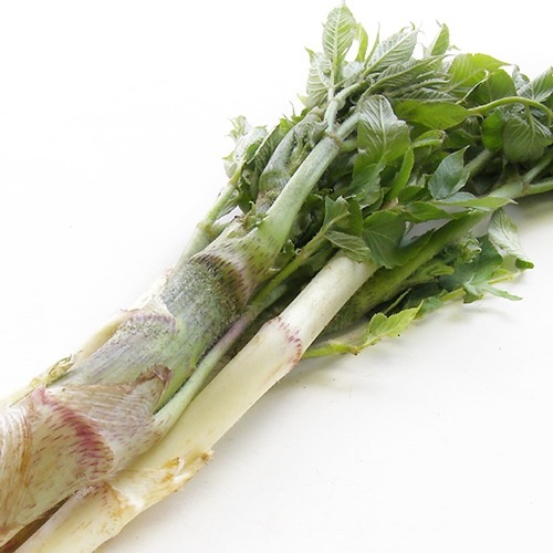 ��4��ܡ��ۻ����� 1��100g����