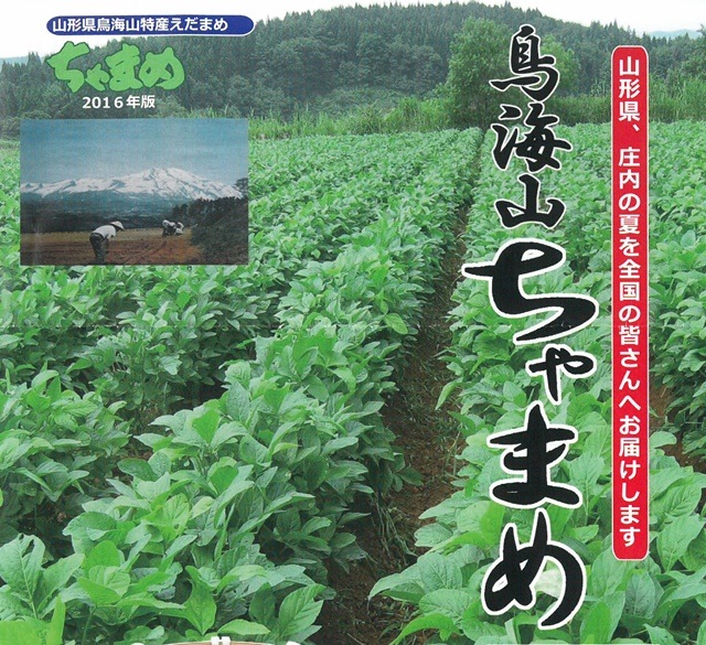 9ܡĻޤʹ⸶Ʀ˲츩ΤӱΥ