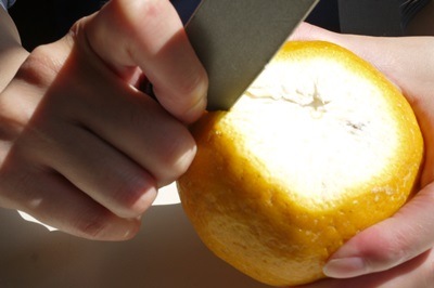 ��3����ܡ��δ��̡� �ִŲơ����ޤʤġ�3�����塦1kg