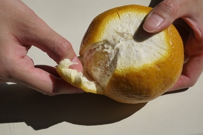 ��3����ܡ��δ��̡� �ִŲơ����ޤʤġ�3�����塦1kg