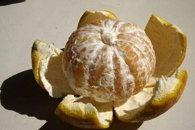 ��3����ܡ��δ��̡� �ִŲơ����ޤʤġ�3�����塦1kg