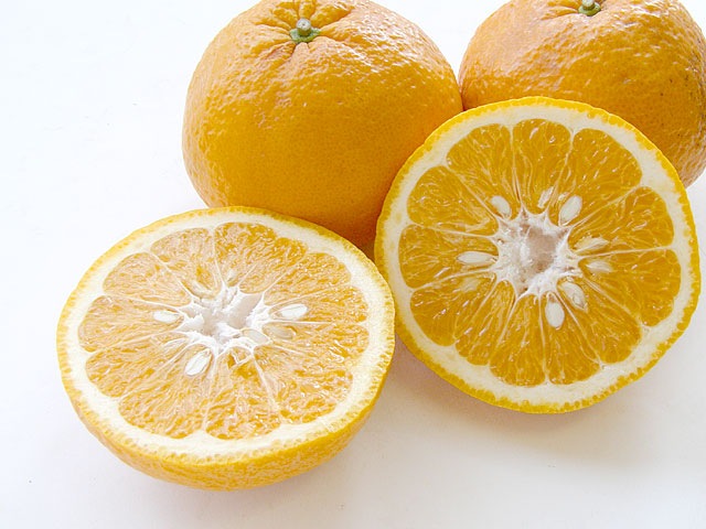 ��3����ܡ��δ��̡� �ִŲơ����ޤʤġ�3�����塦1kg