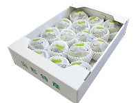 ǯ�����ե����롡15��OFF��2025ǯ�ٻ��۲�ʪ�ν����֥�ե�󥹡סʻ�������