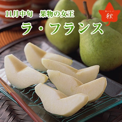 ǯ�����ե����롡15��OFF��2025ǯ�ٻ��۲�ʪ�ν����֥�ե�󥹡סʻ�������