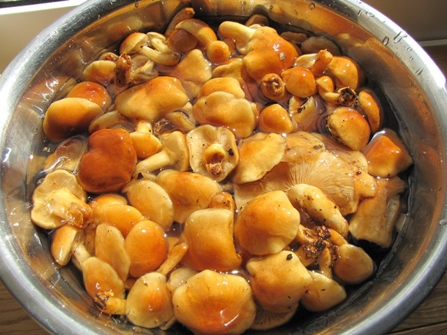 ��10��ܡ��ۿ��ι��ȴ�̣�����̡�ŷ���ʤᤳ�סʥ������ء�