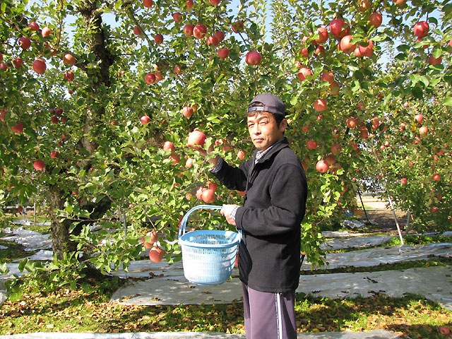 11ܡ۴ŤƤ֤դ󤴡