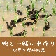 ڹơ̵ָơ׿ѥå1.8kg