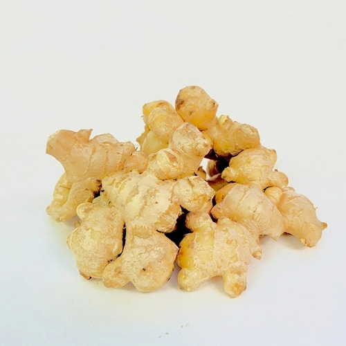 ��������ͭ����ժ��̵�������餴�Ȱ¿���