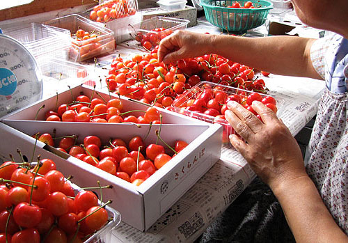 ֺƣӡ ͥ L/2L Хͤ900g