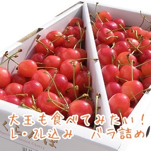 ֺƣӡ ͥ L/2L Хͤ900g