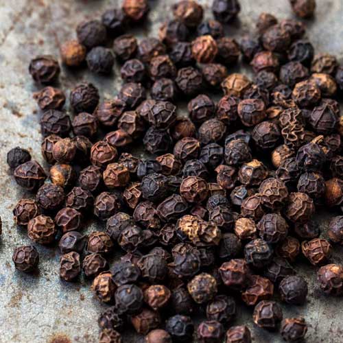 �ܾ��̣���������˥å��ѥ����ȥ����ס������ΤؤΤ�˫���������եȡ��ο������ס�