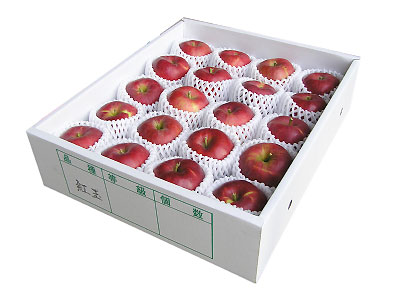 2025ǯ10ܡۤ󤴡ֹȶ̡2025