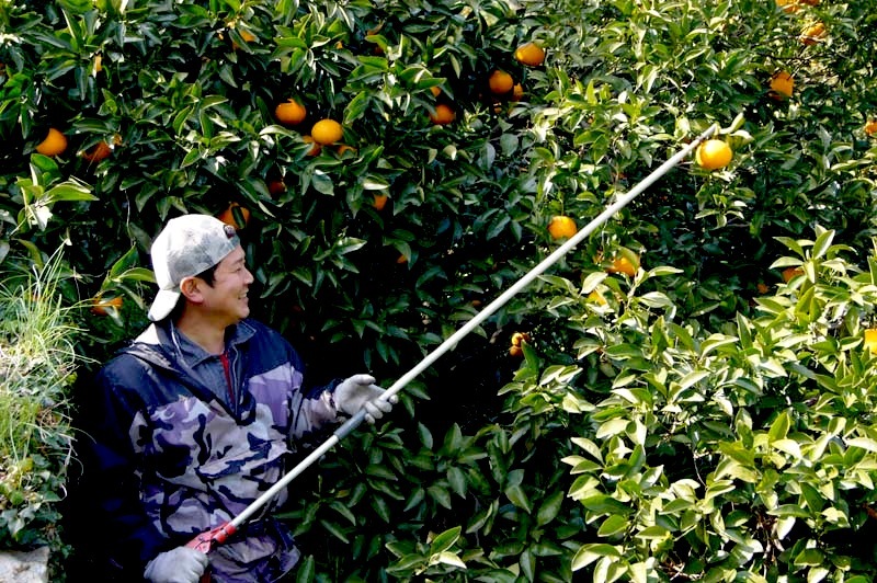 ��3����ܡ��δ��̡� �ִŲơ����ޤʤġ�