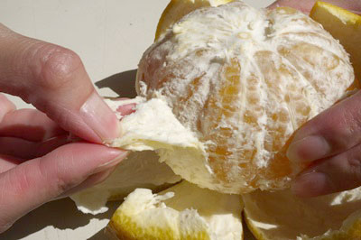 ��3����ܡ��δ��̡� �ִŲơ����ޤʤġ�