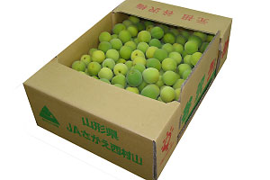 6ܡ7ܡߡò4.8kgߴѡ