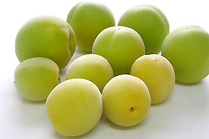 6ܡ7ܡߡò4.8kgߴѡ