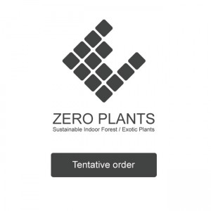 ������ʸ���� ���̾老��ʸ�ǤϤ�����ĺ���ޤ��� ��