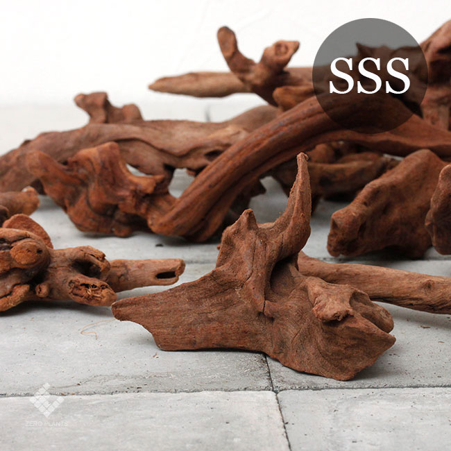 Drift Wood / ドリフトウッド 【 マングローブ / SSS / 3本
