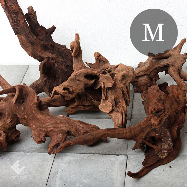 Drift Wood ドリフトウッド マングローブ M 3本 パルダリウム コケリウムのレイアウトに最適な流木