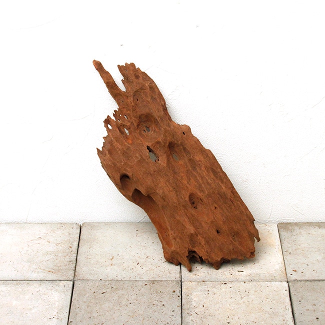 極上　スラウェシウッド　塊状流木 極上 スラウェシウッド 塊状流木