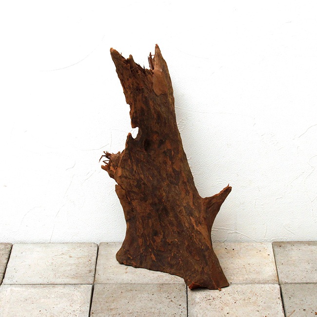 UWS Material Market / Sulawesi Wood 【 スラウェシウッド / 厳選流木