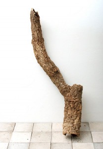 Cork / コルク  【 CW2210-13 】【 最大長：約820mm 】