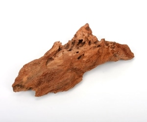 UWS Material Market / Sulawesi Wood���� ���饦�������å� / ����ή�� �� �� SW2408-25 ��