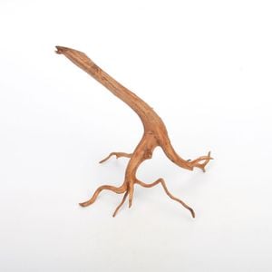 UWS Material Market / Sumatra Wood ROOTS���� ���ޥȥ饦�åɡ��롼�� / ����ή�� �� �� SR2508-04 ��