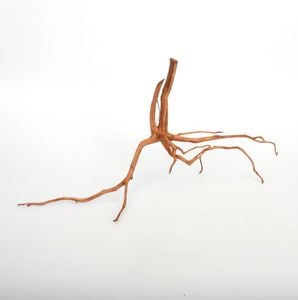 UWS Material Market / Sumatra Wood ROOTS���� ���ޥȥ饦�åɡ��롼�� / ����ή�� �� �� SR2508-06 ��