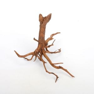 44  杉の流木 44 杉の流木