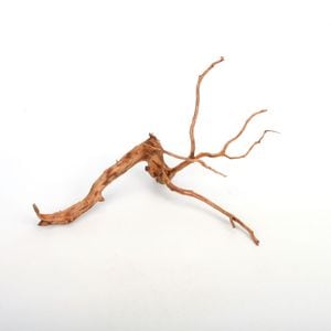 厳選流木素材 流木 レイアウト用 インテリアにも使えるクオリティ 36cm×26.5cm